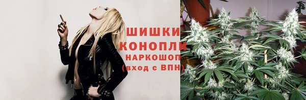 стаф Навашино