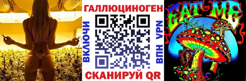 кракен ONION  Яхрома  Галлюциногенные грибы MAGIC MUSHROOMS  сколько стоит 